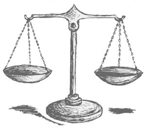 Terms and Conditions